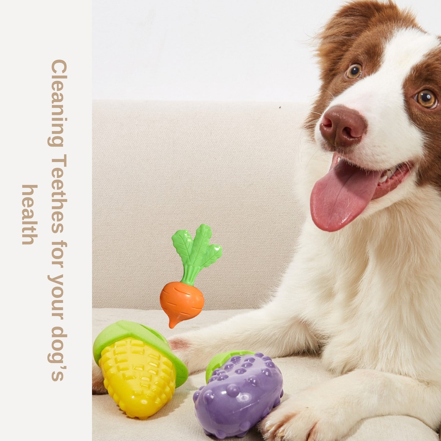 3Pcs Dog Squeaky Toy Veggies Design