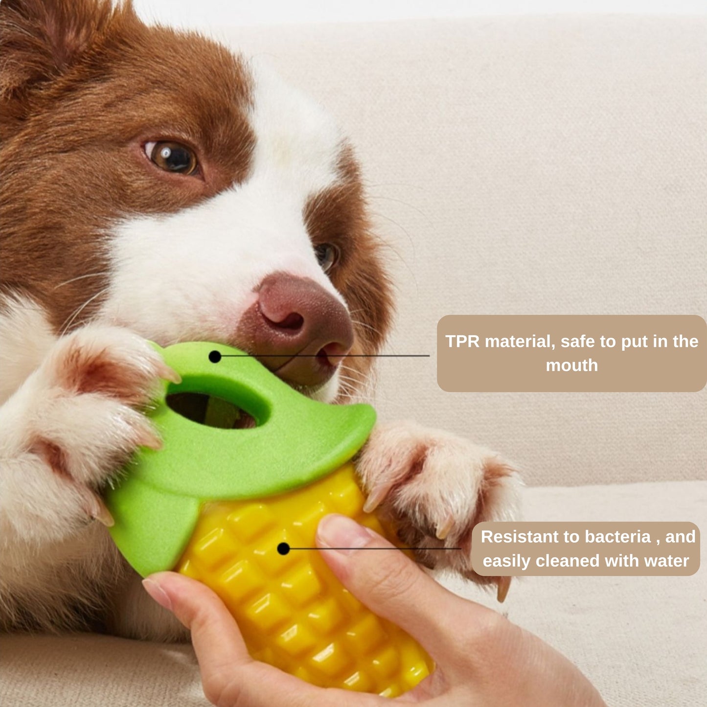 3Pcs Dog Squeaky Toy Veggies Design