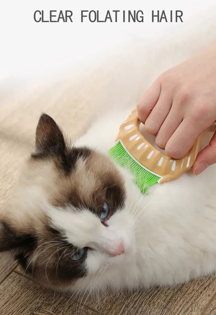 Shell Shape Pet Comb
