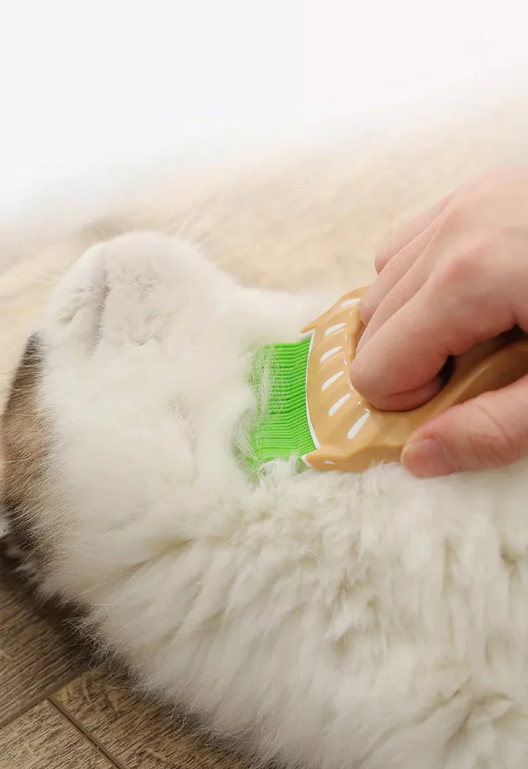 Shell Shape Pet Comb