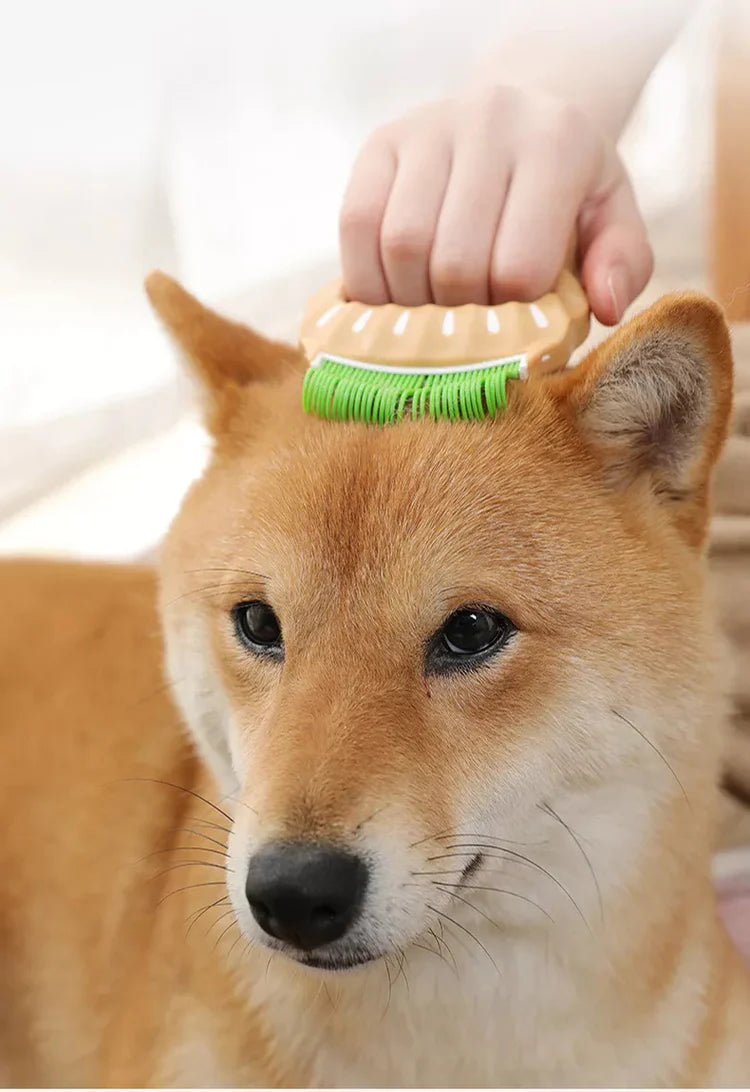 Shell Shape Pet Comb